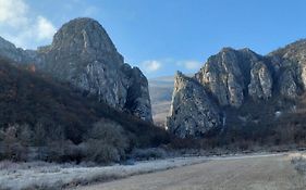 Golemi Kamik Pirot Vlasi