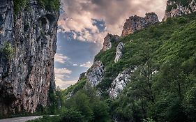 Golemi Kamik Pirot Vlasi