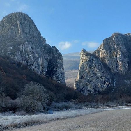 Golemi Kamik Pirot Vlasi Экстерьер фото